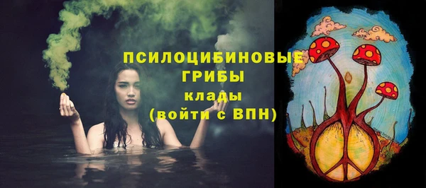 гашик Гусь-Хрустальный