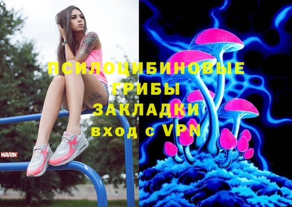 гашик Гусь-Хрустальный
