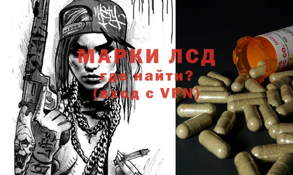 спиды Гусев