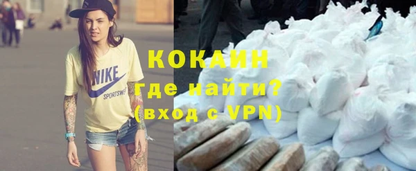 спиды Гусев