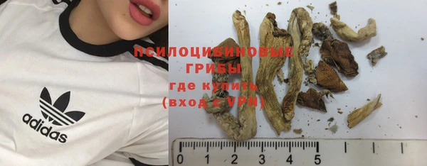 спиды Гусев