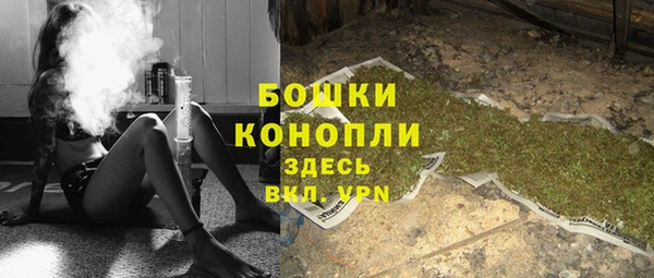 гашик Гусь-Хрустальный