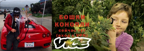гашик Гусь-Хрустальный