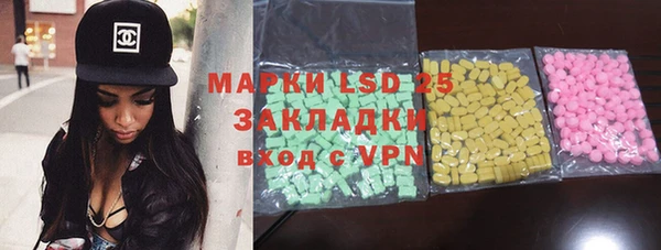 гашик Гусь-Хрустальный