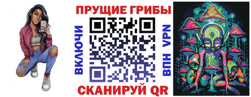 Псилоцибиновые грибы Cubensis Кадников